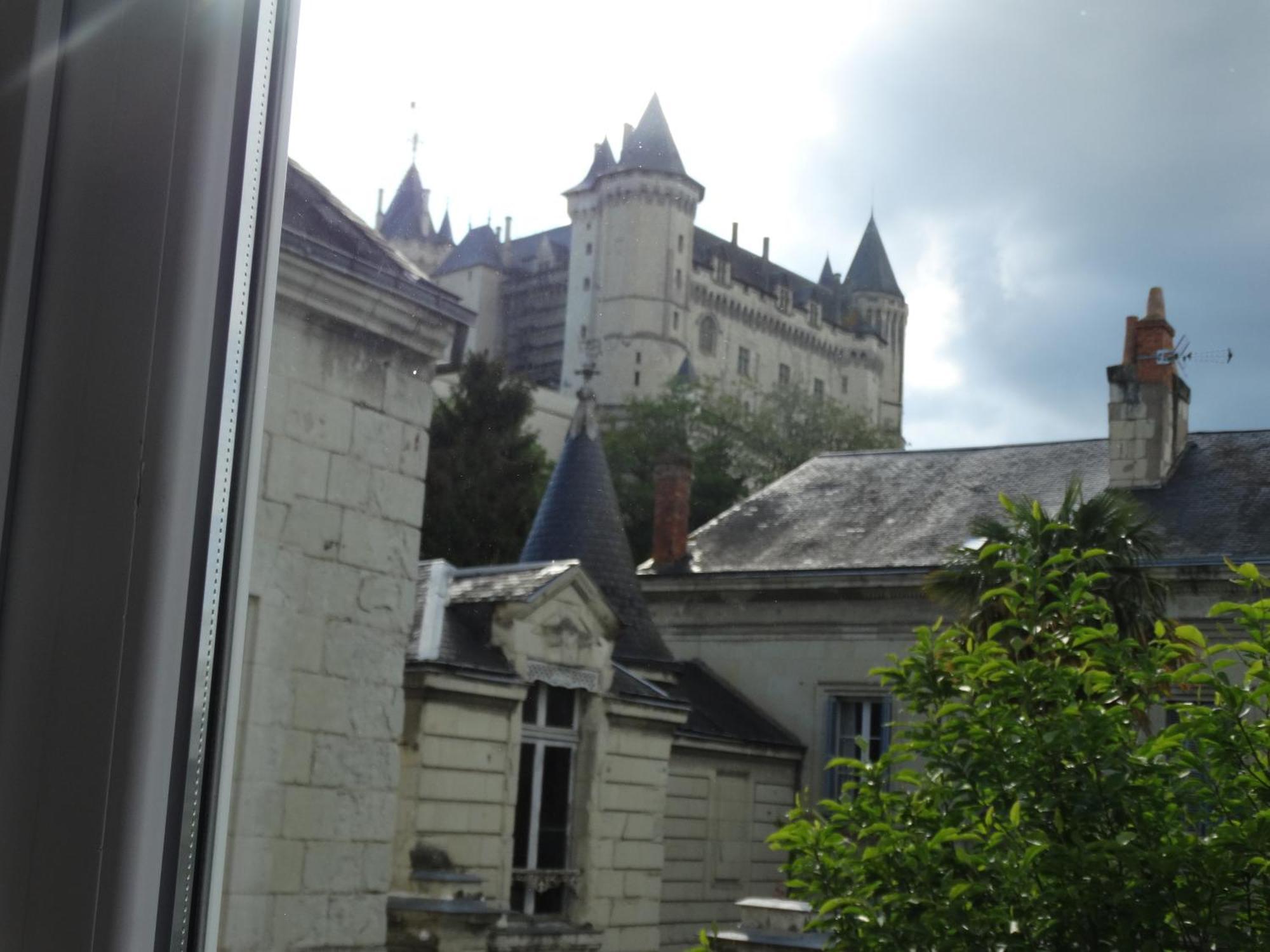 Vue Sur Chateau Et Loire Сомюр Екстериор снимка