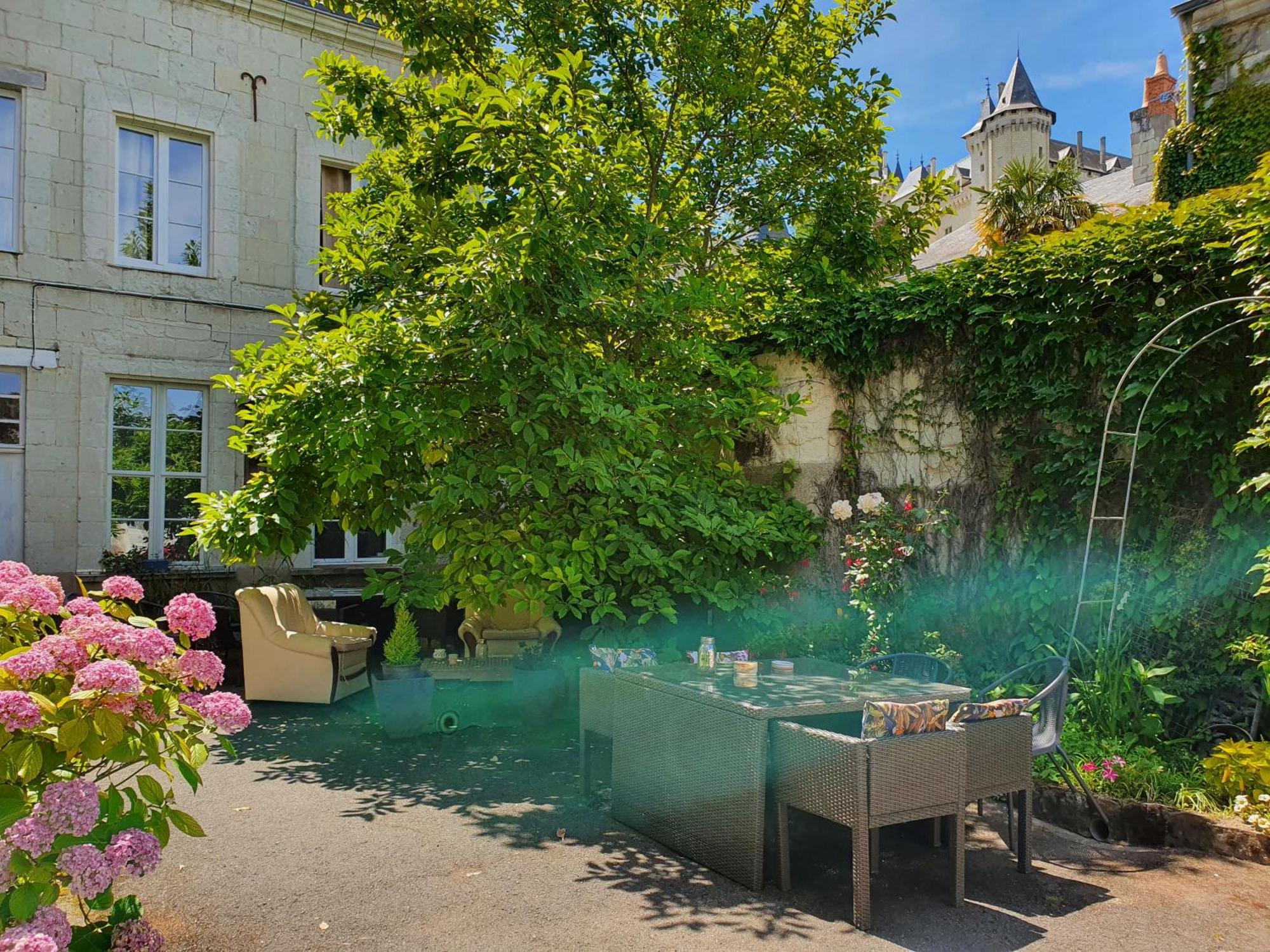 Vue Sur Chateau Et Loire Сомюр Екстериор снимка